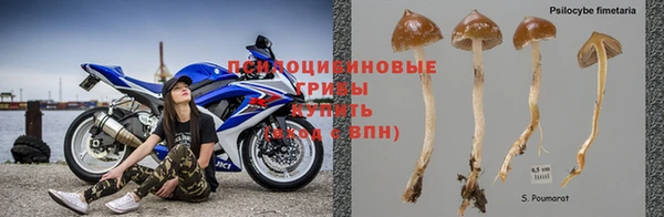 MDMA Premium VHQ Пролетарск